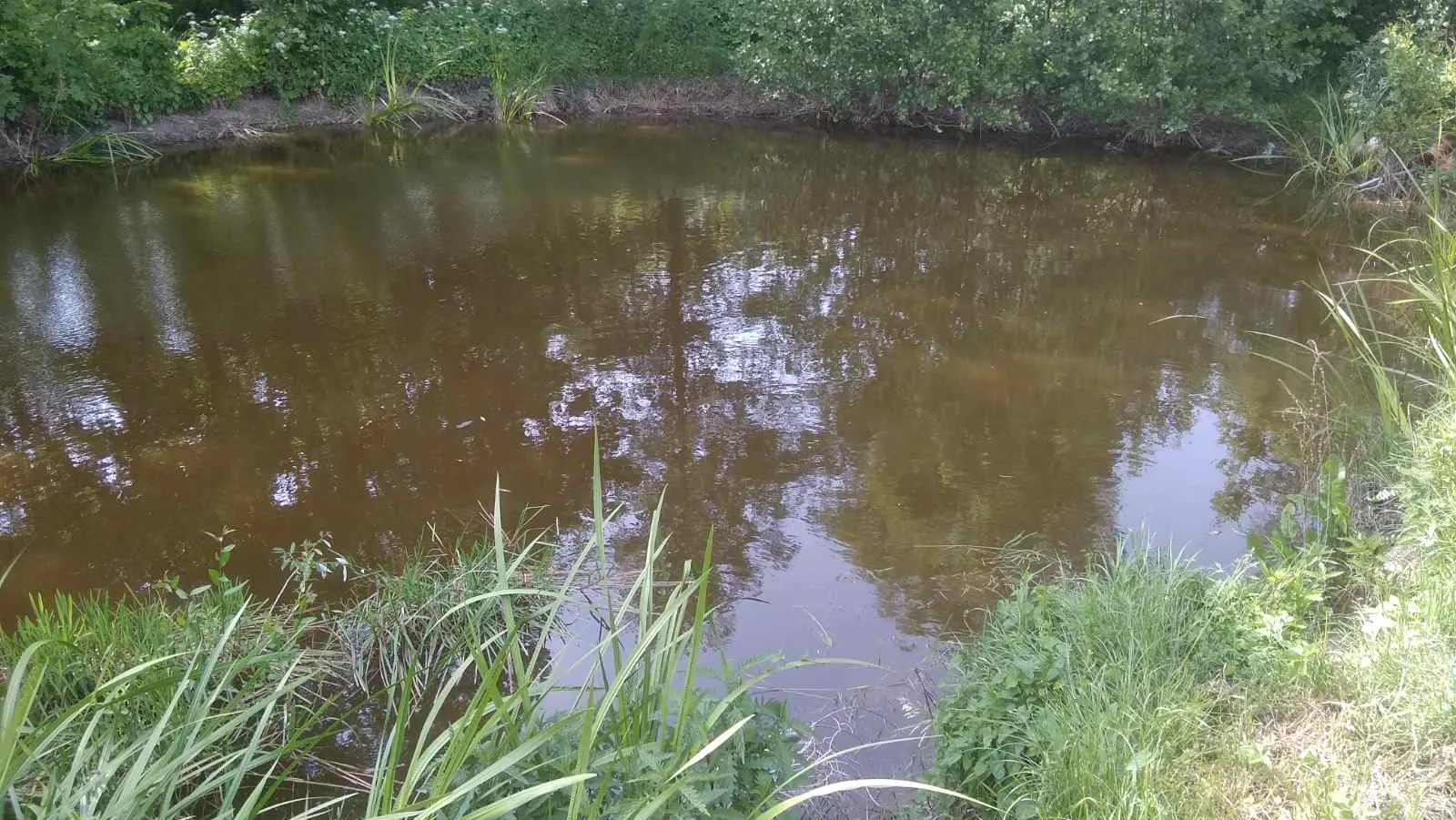 На Рівненщині через посуху обмежили забір води з річок