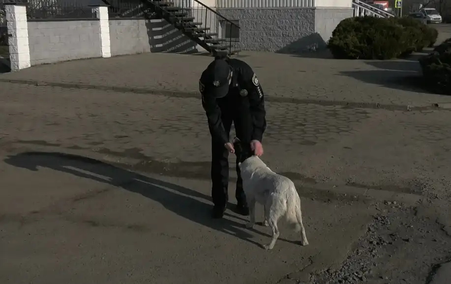 Оскана Рабош з Калапушею