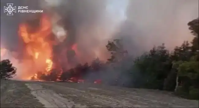 На Рівненщині та Волині оштрафували майже 50 порушників пожежної безпеки