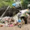 На Рівненщині екоінспектори виявили стихійні сміттєзвалища