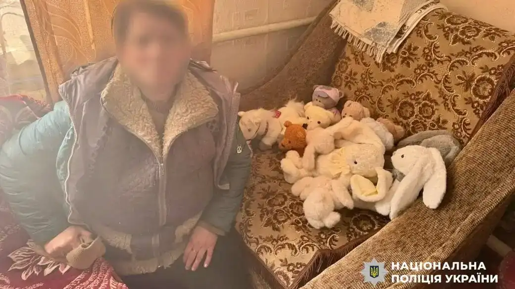 Радивилівський районний суд виніс вирок жінці через крадіжку 13 м'яких іграшок з дитячої могили на Рівненщині.