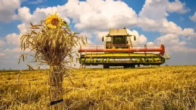 Липень на Рівненщині прогнозується спекотнішим і сухішим за кліматичну норму. Водночас синоптики нагадують, що цей місяць традиційно може приносити грози, зливи та шквали.