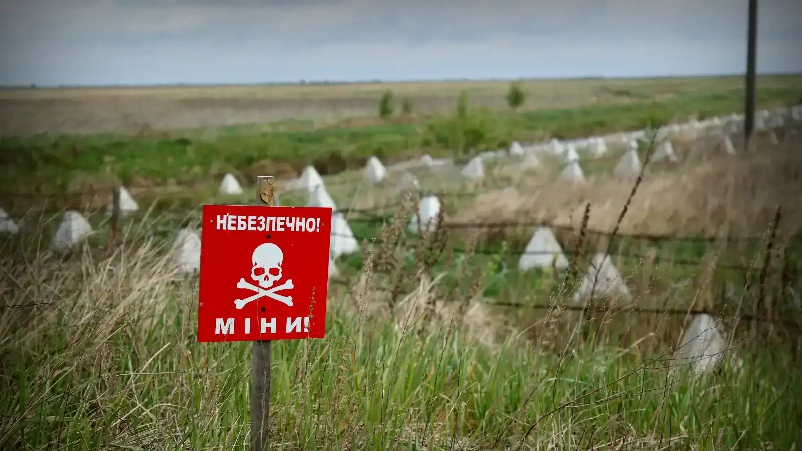 Головні новини Рівненщини за 18 червня
