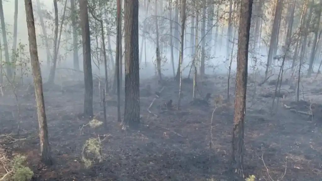 Пожежі після російських ударів охопили понад три гектари території та завдали значної шкоди довкіллю