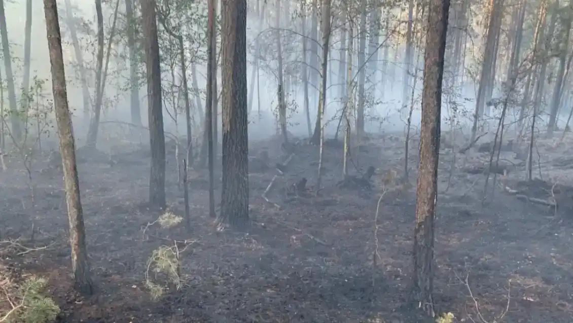 Пожежі після російських ударів охопили понад три гектари території та завдали значної шкоди довкіллю