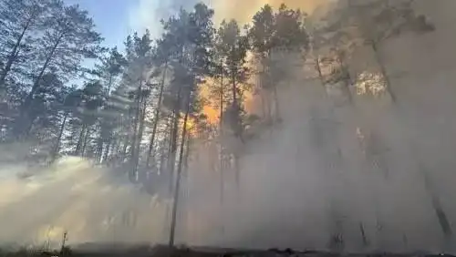 На Рівненщині з початку року зафіксували 960 пожеж в екосистемах. В Екоінспекції закликають не випалювати суху рослинність, адже через спеку ризик масштабних загорянь значно зріс.