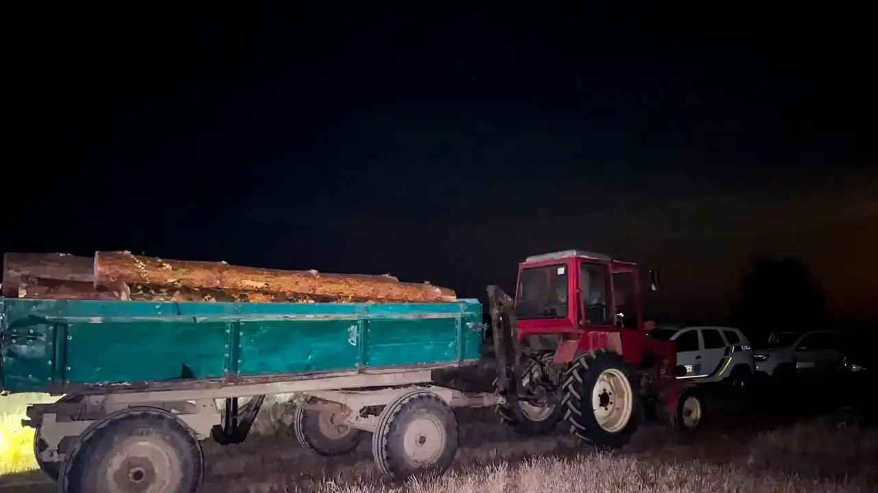 На Володимиреччині двоє чоловіків незаконно вирубали та перевозили понад 9 кубометрів сосни
