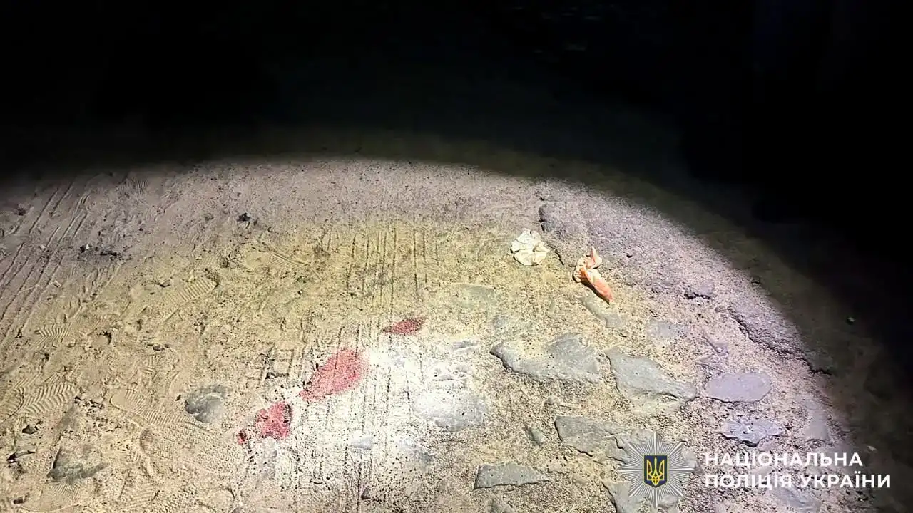 У селі Половлі 16-річна водійка мотоцикла Loncin збила 14-річну пішохідку. Кермувальниця була без шолома та ніколи не отримувала водійського посвідчення.