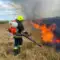12 пожеж в екосистемах за добу ліквідували на Рівненщині (ВІДЕО)