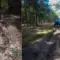На Рівненщині кількість лісових пожеж зменшилася утричі: облаштували 1,7 тисячі км мінсмуг